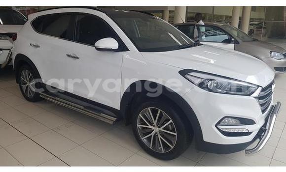 Buy Used Hyundai Tucson White Car in Gobabis in Omaheke Buy Used Hyundai Tucson White Car in Gobabis in Omaheke