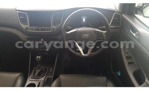 Buy Used Hyundai Tucson White Car in Gobabis in Omaheke Buy Used Hyundai Tucson White Car in Gobabis in Omaheke