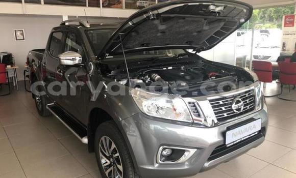 Acheter Occasion Voiture Nissan Navara Autre à Karasburg, Karas Acheter Occasion Voiture Nissan Navara Autre à Karasburg, Karas