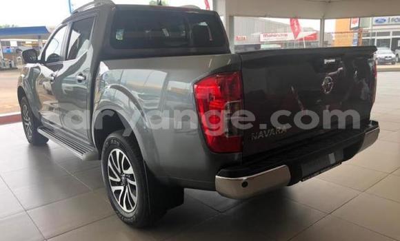 Acheter Occasion Voiture Nissan Navara Autre à Karasburg, Karas Acheter Occasion Voiture Nissan Navara Autre à Karasburg, Karas
