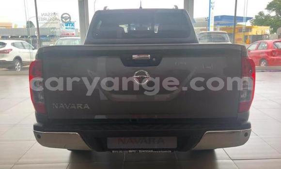 Acheter Occasion Voiture Nissan Navara Autre à Karasburg, Karas Acheter Occasion Voiture Nissan Navara Autre à Karasburg, Karas