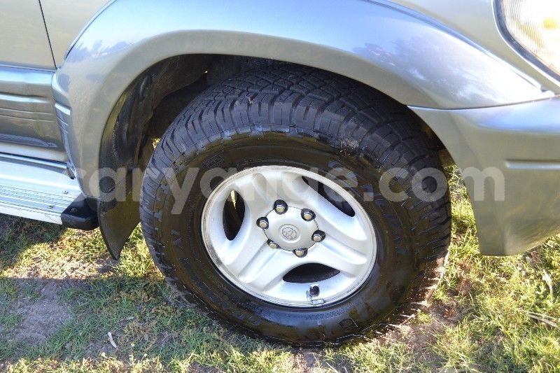 Big with watermark 6