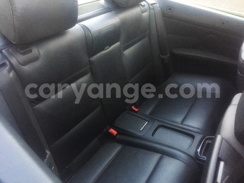 Big with watermark yyeyrrrr11