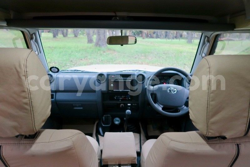 Big with watermark trtw5