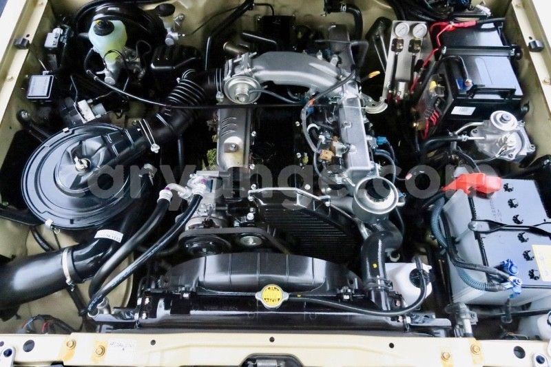 Big with watermark trtw10