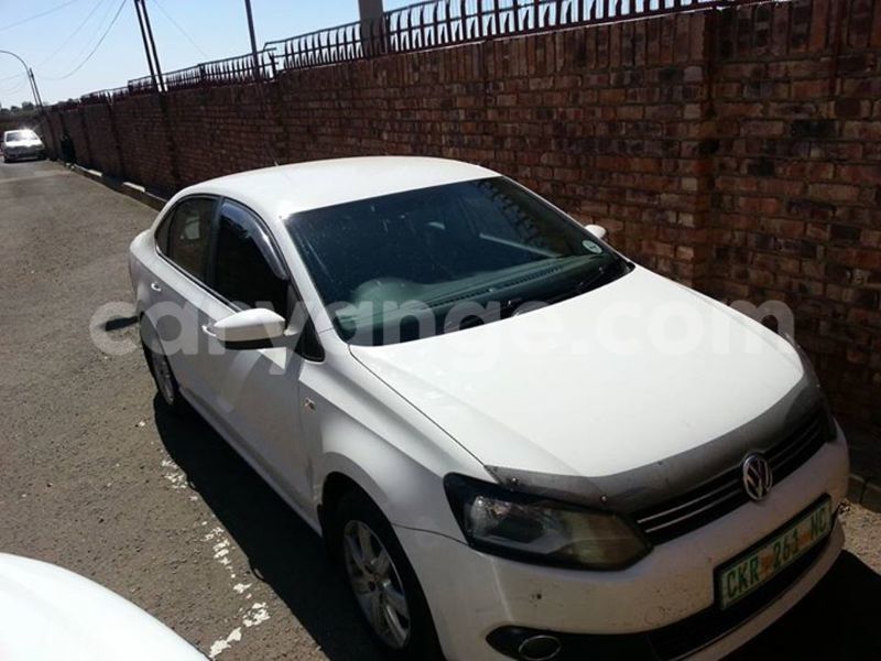 Big with watermark 14572839 1276538899057194 7605807282165903254 n