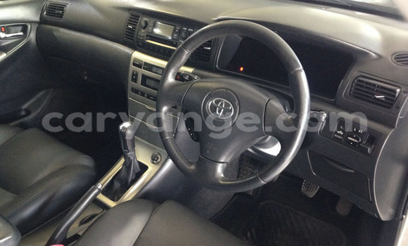 Buy Used Toyota Runx Silver Car in Walvis Bay in Namibia Buy Used Toyota Runx Silver Car in Walvis Bay in Namibia