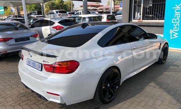 Buy Used BMW M4 White Car in Import - Dubai in Namibia Buy Used BMW M4 White Car in Import - Dubai in Namibia