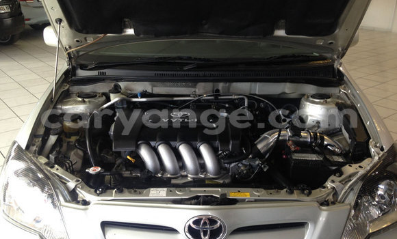 Buy Used Toyota Runx Silver Car in Rundu in Namibia Buy Used Toyota Runx Silver Car in Rundu in Namibia