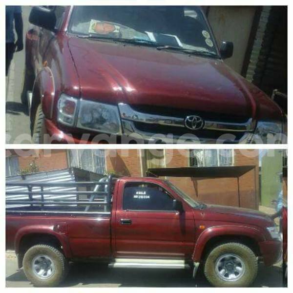 Big with watermark 14572839 1276538899057194 7605807282165903254 n