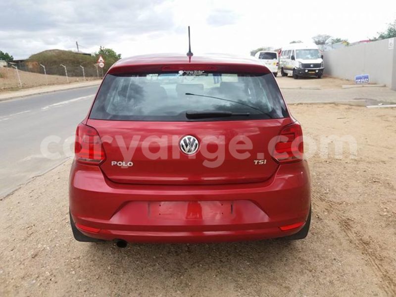 Big with watermark 14695326 1276538865723864 3907257530309395993 n