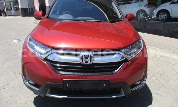 Buy Used Honda CR–V Red Car in Gobabis in Omaheke Buy Used Honda CR–V Red Car in Gobabis in Omaheke