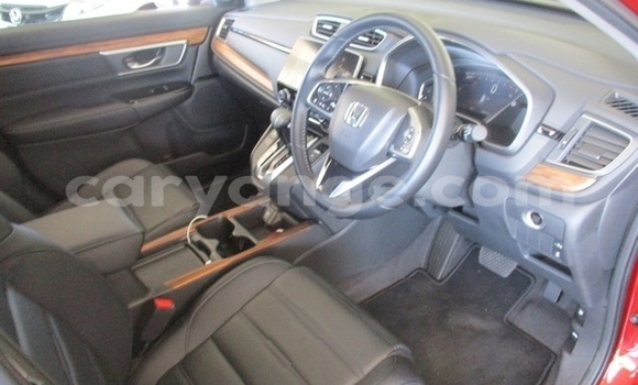 Buy Used Honda CR–V Red Car in Gobabis in Omaheke Buy Used Honda CR–V Red Car in Gobabis in Omaheke