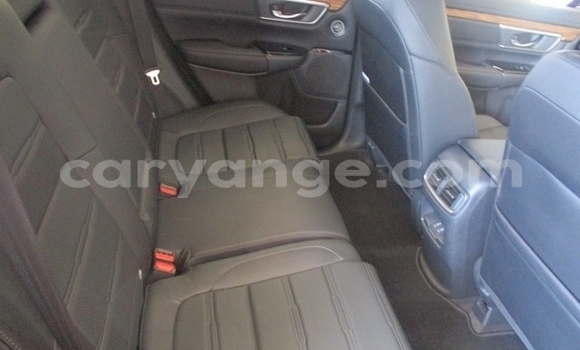 Buy Used Honda CR–V Red Car in Gobabis in Omaheke Buy Used Honda CR–V Red Car in Gobabis in Omaheke