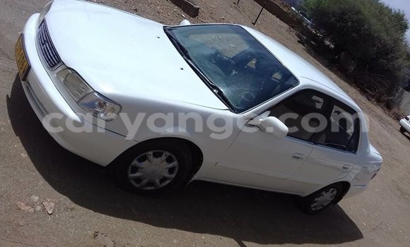 Acheter Occasion Voiture Toyota Corolla Blanc à Windhoek, Namibie Acheter Occasion Voiture Toyota Corolla Blanc à Windhoek, Namibie