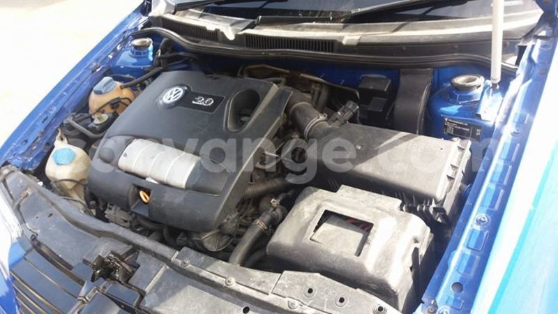 Big with watermark 14937420 10210899464142563 5142262507148257599 n