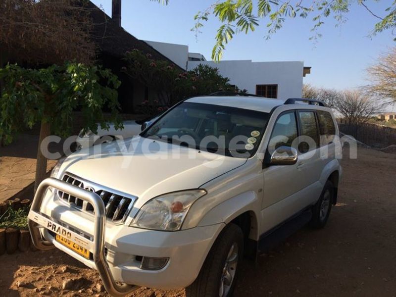 Big with watermark 14572839 1276538899057194 7605807282165903254 n