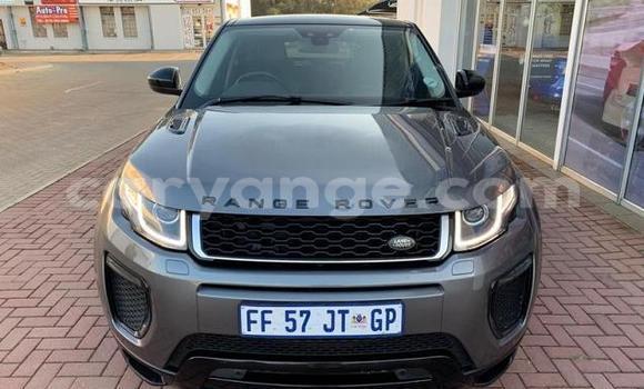 Acheter Occasion Voiture Land Rover Range Rover Evoque Autre à Keetmanshoop, Namibie Acheter Occasion Voiture Land Rover Range Rover Evoque Autre à Keetmanshoop, Namibie