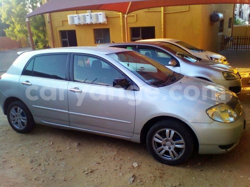 Big with watermark 14572839 1276538899057194 7605807282165903254 n