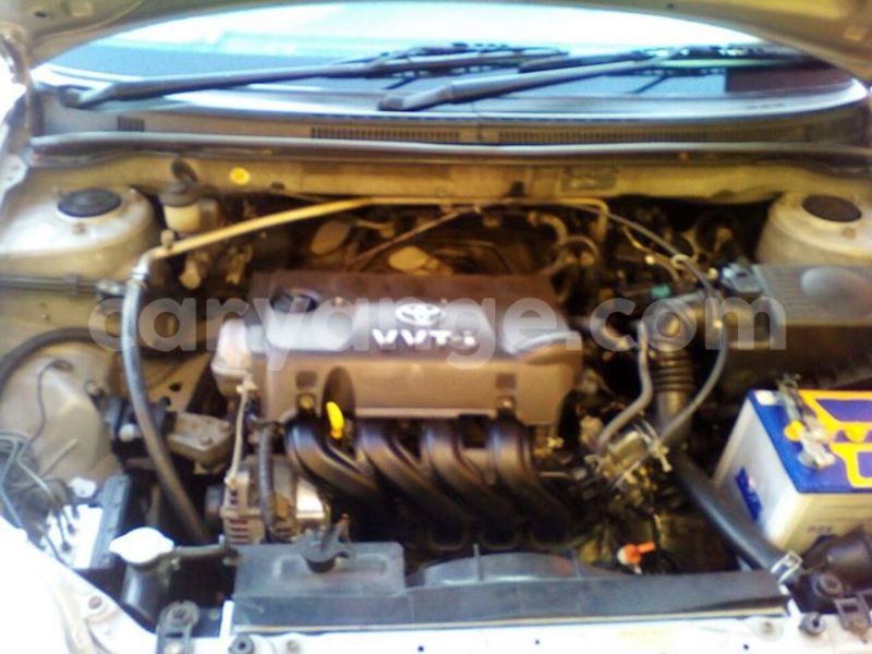 Big with watermark 14695326 1276538865723864 3907257530309395993 n