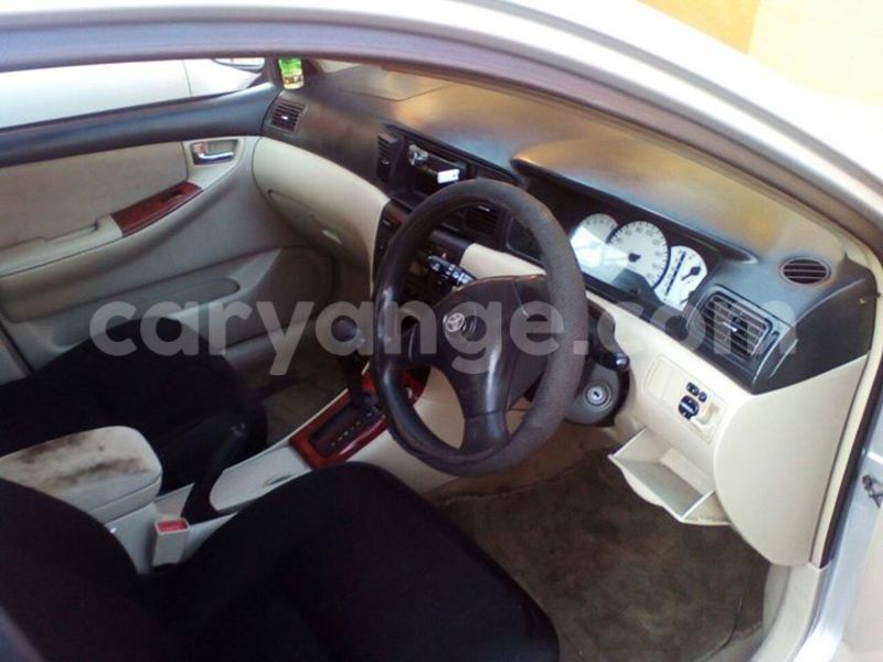 Big with watermark 14937420 10210899464142563 5142262507148257599 n