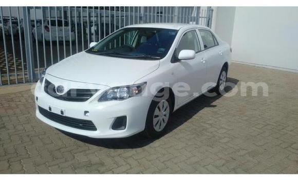 Buy Used Toyota Corolla White Car in Swakopmund in Namibia Buy Used Toyota Corolla White Car in Swakopmund in Namibia