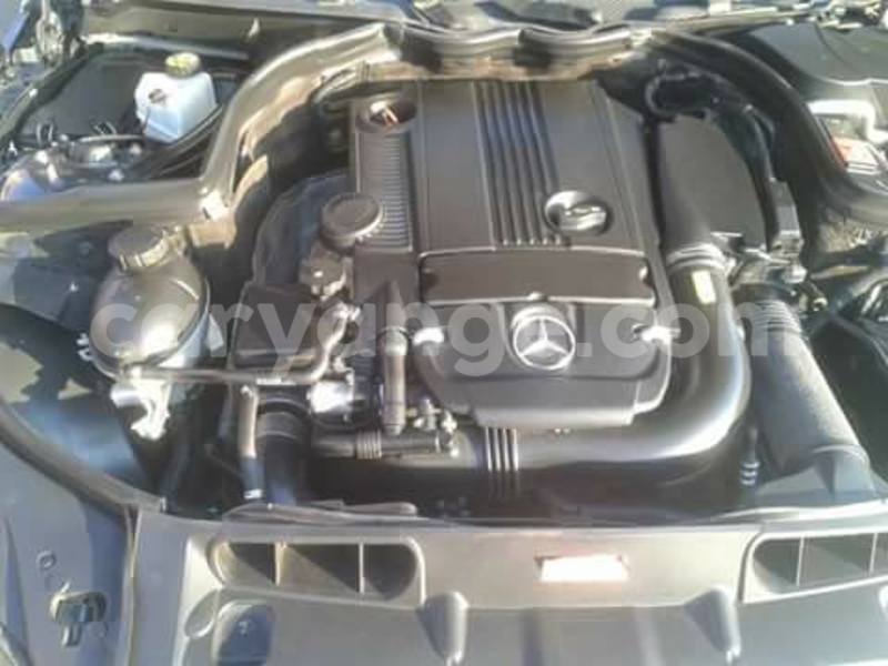 Big with watermark img 20160806 wa0004