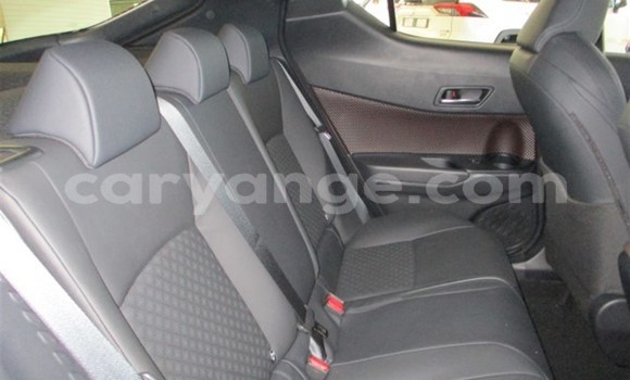 Buy Used Toyota C-HR White Car in Gobabis in Omaheke Buy Used Toyota C-HR White Car in Gobabis in Omaheke