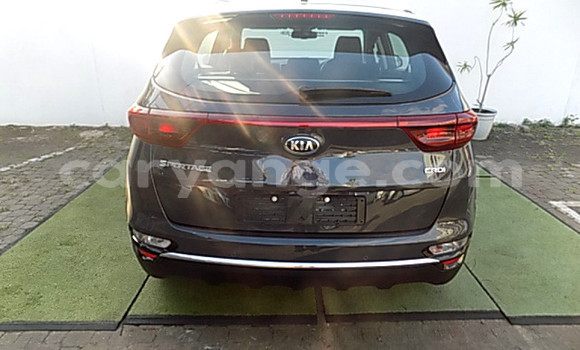 Buy Used Kia Sportage Other Car in Gobabis in Omaheke Buy Used Kia Sportage Other Car in Gobabis in Omaheke