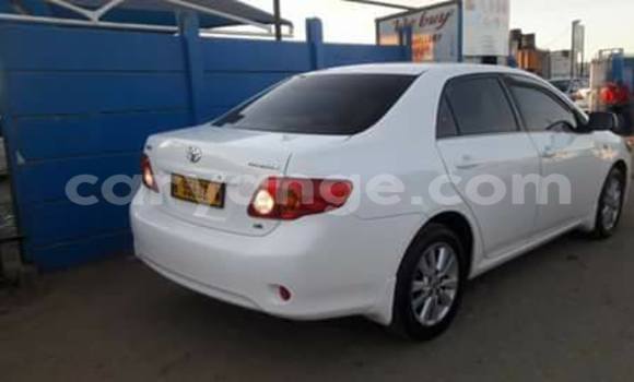 Buy Used Toyota Corolla White Car in Windhoek in Namibia Buy Used Toyota Corolla White Car in Windhoek in Namibia