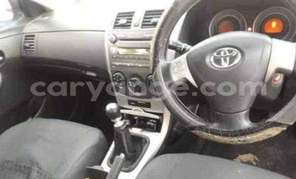 Buy Used Toyota Corolla White Car in Windhoek in Namibia Buy Used Toyota Corolla White Car in Windhoek in Namibia