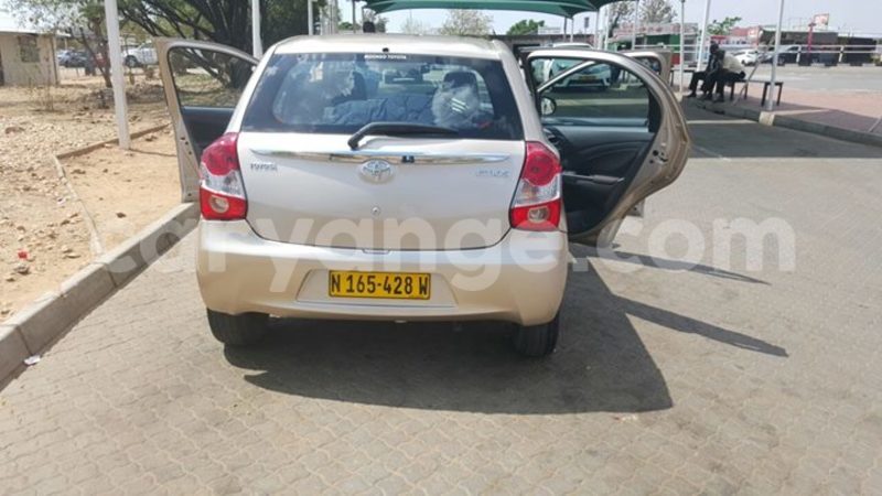 Big with watermark 14355616 1652943051684902 3641046762615807478 n