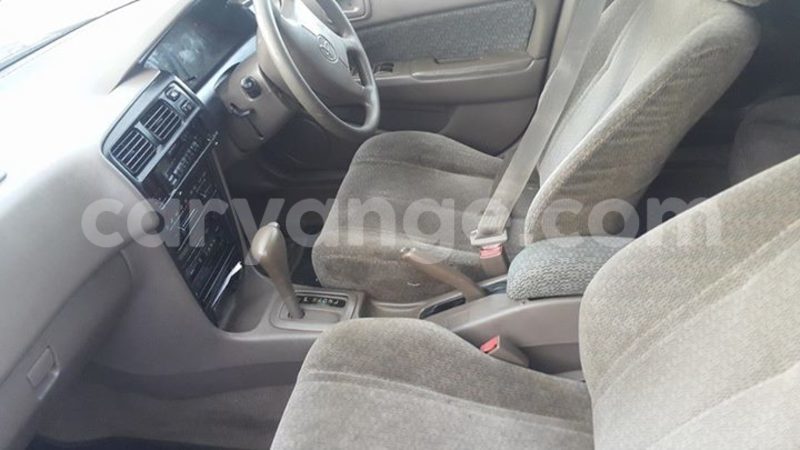 Big with watermark 14355616 1652943051684902 3641046762615807478 n