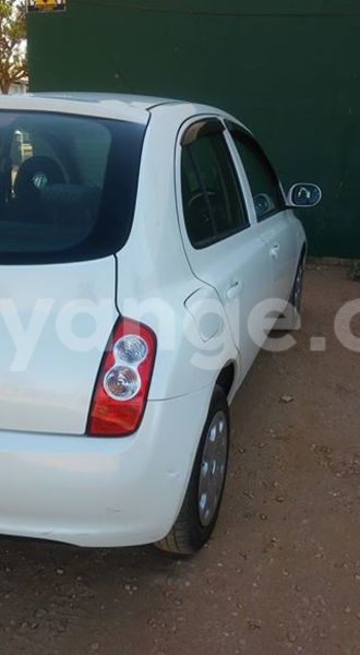 Big with watermark 14322753 152041765249206 4084601271133145777 n