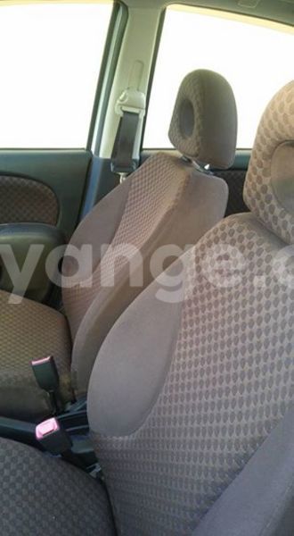 Big with watermark 14355616 1652943051684902 3641046762615807478 n