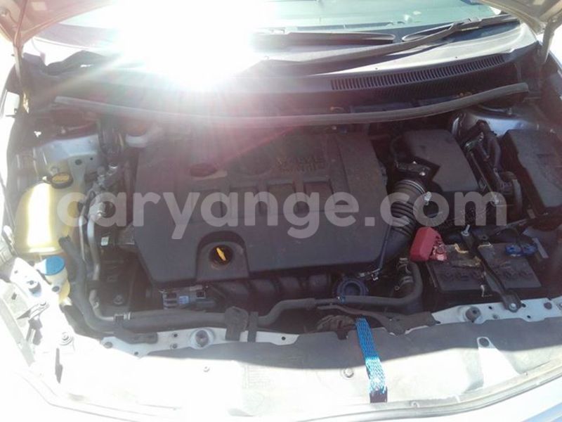 Big with watermark 14344360 195243170887525 1476089703380270021 n