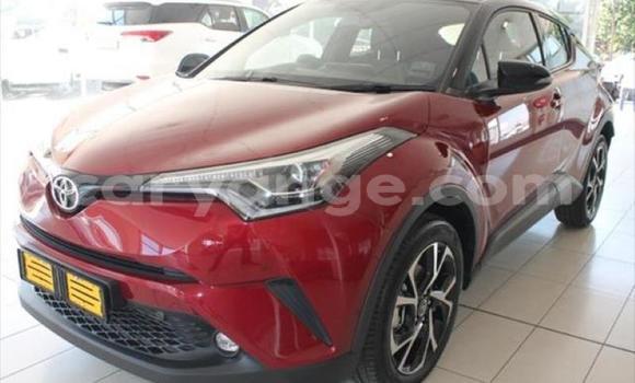 Buy Used Toyota C-HR Red Car in Swakopmund in Namibia Buy Used Toyota C-HR Red Car in Swakopmund in Namibia