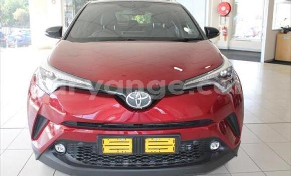 Buy Used Toyota C-HR Red Car in Swakopmund in Namibia Buy Used Toyota C-HR Red Car in Swakopmund in Namibia