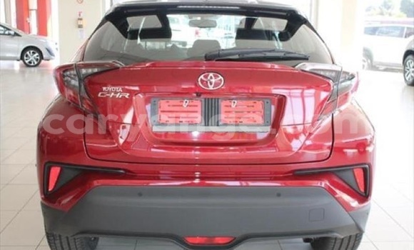 Buy Used Toyota C-HR Red Car in Swakopmund in Namibia Buy Used Toyota C-HR Red Car in Swakopmund in Namibia