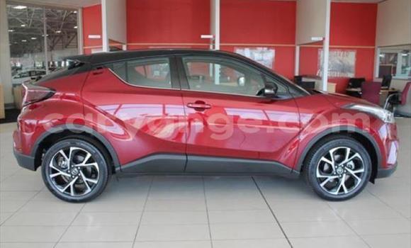 Buy Used Toyota C-HR Red Car in Swakopmund in Namibia Buy Used Toyota C-HR Red Car in Swakopmund in Namibia