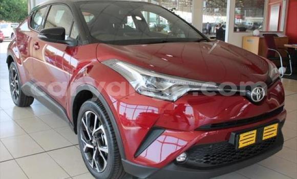 Buy Used Toyota C-HR Red Car in Swakopmund in Namibia Buy Used Toyota C-HR Red Car in Swakopmund in Namibia