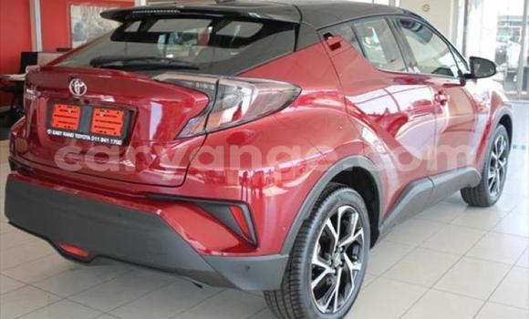 Buy Used Toyota C-HR Red Car in Swakopmund in Namibia Buy Used Toyota C-HR Red Car in Swakopmund in Namibia