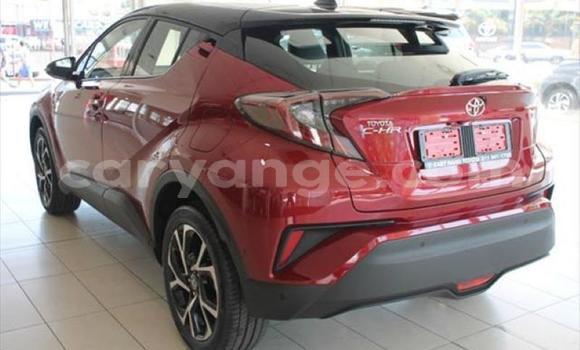 Buy Used Toyota C-HR Red Car in Swakopmund in Namibia Buy Used Toyota C-HR Red Car in Swakopmund in Namibia