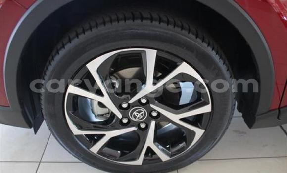 Buy Used Toyota C-HR Red Car in Swakopmund in Namibia Buy Used Toyota C-HR Red Car in Swakopmund in Namibia