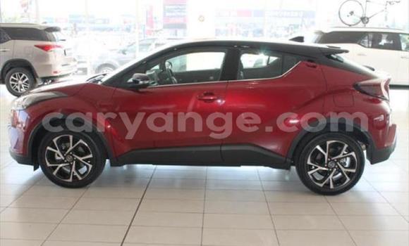 Buy Used Toyota C-HR Red Car in Swakopmund in Namibia Buy Used Toyota C-HR Red Car in Swakopmund in Namibia