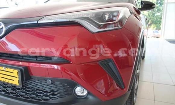 Buy Used Toyota C-HR Red Car in Swakopmund in Namibia Buy Used Toyota C-HR Red Car in Swakopmund in Namibia