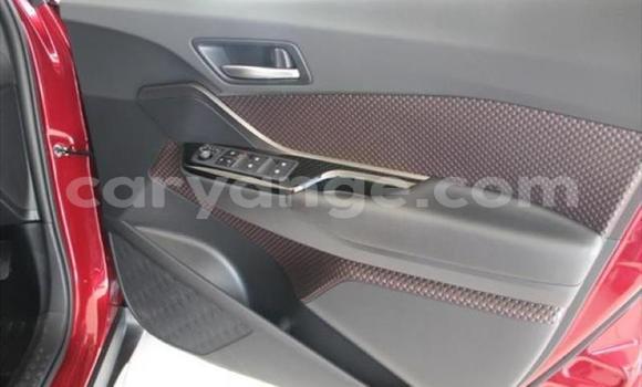 Buy Used Toyota C-HR Red Car in Swakopmund in Namibia Buy Used Toyota C-HR Red Car in Swakopmund in Namibia