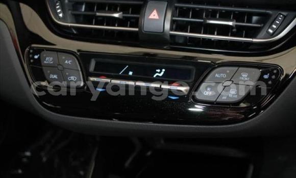 Buy Used Toyota C-HR Red Car in Swakopmund in Namibia Buy Used Toyota C-HR Red Car in Swakopmund in Namibia