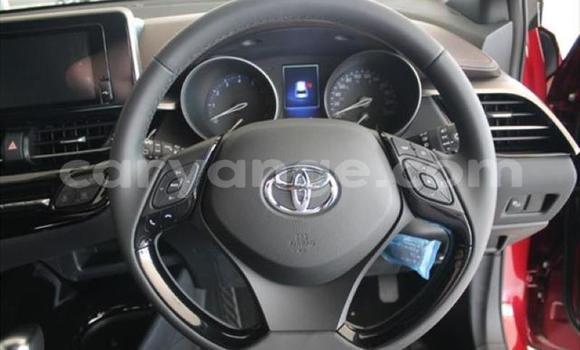 Buy Used Toyota C-HR Red Car in Swakopmund in Namibia Buy Used Toyota C-HR Red Car in Swakopmund in Namibia