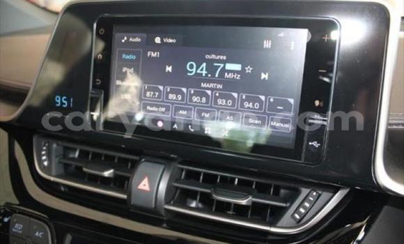 Buy Used Toyota C-HR Red Car in Swakopmund in Namibia Buy Used Toyota C-HR Red Car in Swakopmund in Namibia